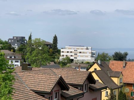 Charming 3-room penthouse apartment with lake view & two balconies - Photo 5