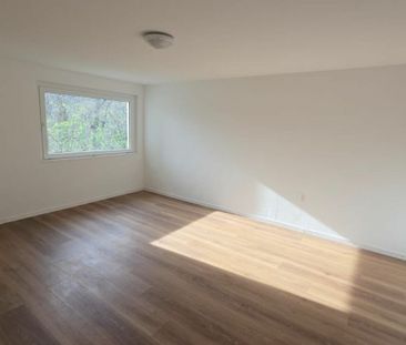 2.5 Zimmer, 55 m², EG - Foto 6