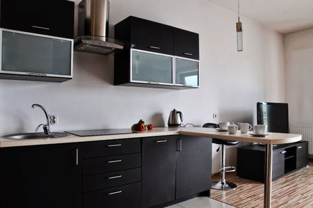 Kawalerka Poznań Wilda Green Point wynajem - Photo 4