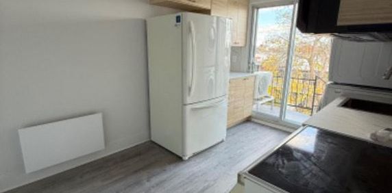 Logement 4 1/2 à Rosemont - Photo 2