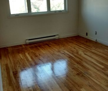 5 1/2 - Photo 3