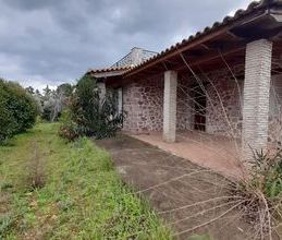 Μονοκατοικία για ενοικίαση - Νέα Μάκρη - Photo 5