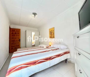 Dúplex en alquiler en Guardamar del Segura - Photo 6