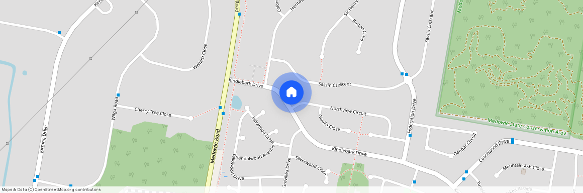 134 Kindlebark Dr, Medowie NSW 2318