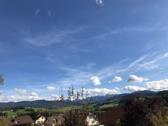 Charmante 3.5 Zimmerwohnung im 1.OG - Photo 1