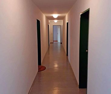 Kleine aber feine 1-Raum Wohnung über den Dächern von Schiepzig Nähe Halle (Dölau) - Photo 6