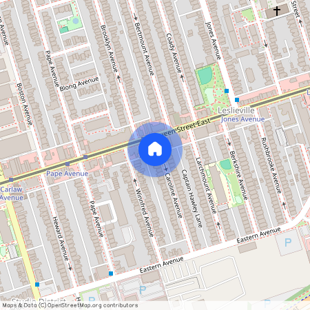 110 Caroline Avenue Unit# Lower, Toronto