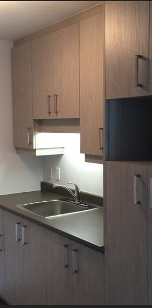 GRAND 3 ½ - ENTIÈREMENT RÉNOVÉ, 1165 $/MOIS TOUT COMPRIS! A PARTIR DE OCTOBRE OU NOVEMBRE - Photo 1