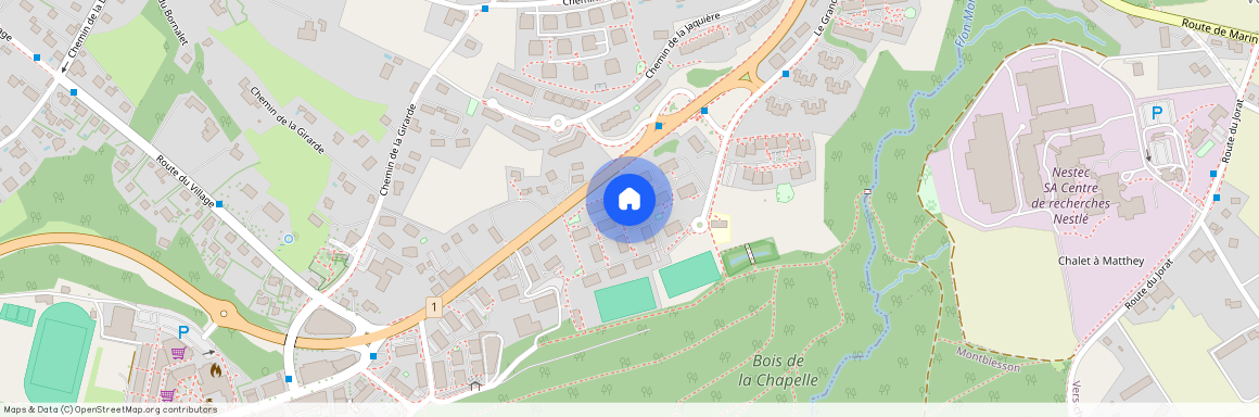 GRAND-CHEMIN 41, 1066, Epalinges