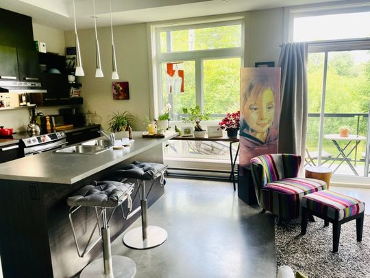 Appartement à louer - Laval (Chomedey) (Autres) - Photo 1