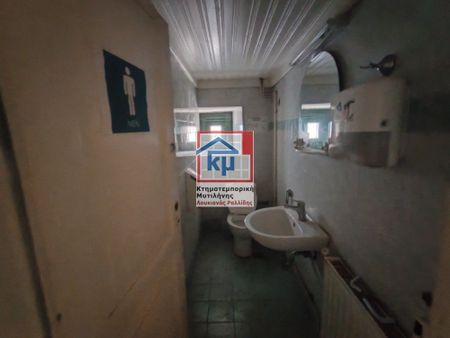 Μονοκατοικία για ενοικίαση Κέντρο (Λέσβος - Μυτιλήνη) - Photo 5