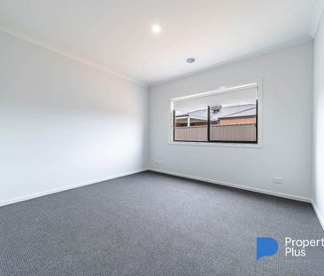 "Stunning and waiting" - Photo 4