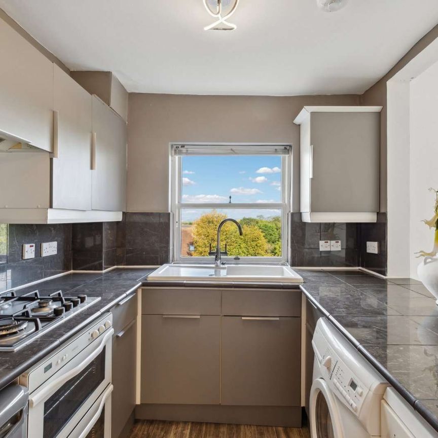 Bright and spacious split level apartment on Richmond Hill - Photo 1