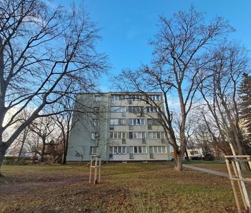 Kawalerka przy Lotnisku Chopina KOR34b 17 m² - Photo 6