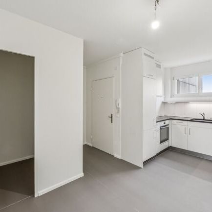 À la recherche d’un nouveau foyer - Photo 1