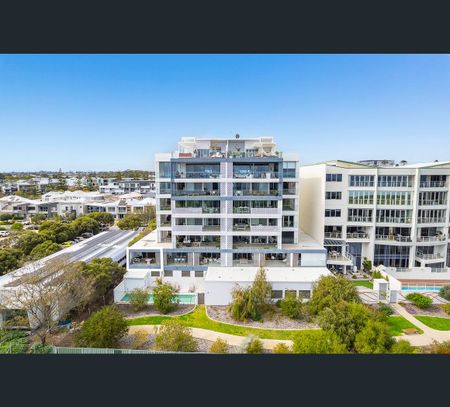 6/13 O'Connor Close, North Coogee, WA 6163 - Photo 4
