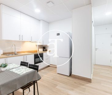 Monthly rental studio with 1 bedroom, 1 bathroom near Zoo Aquarium ... - Photo 6