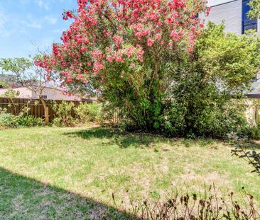 Stunning Completely Renovated Studio - Photo 6