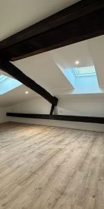 A louer, dans le coeur historique de Périgueux, bel Appartement T1 entièrement restauré - Photo 3