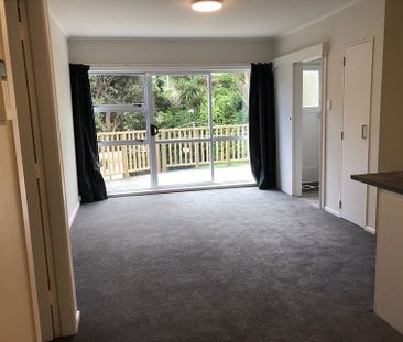 Sunny 2 bdr bottom flat close to Hataitai Village - Photo 1