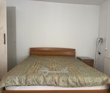 CASA INDIVIDUALA UMF - Photo 3