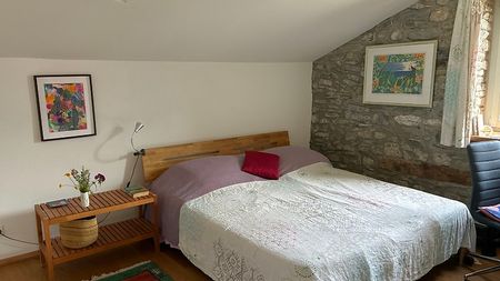3½ Zimmer-Loft in Zizers (GR), möbliert, auf Zeit - Foto 3