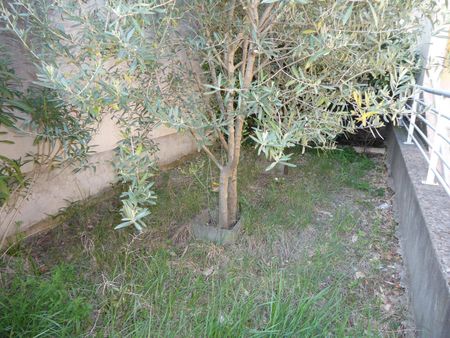 Location appartement 2 pièces 45.48 m² à Aubenas (07200) - Photo 4