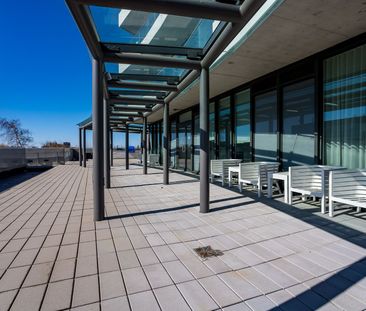 For Lease - 485 Richmond Road Unit# 709, Carlingwood - Westboro and... - Photo 2