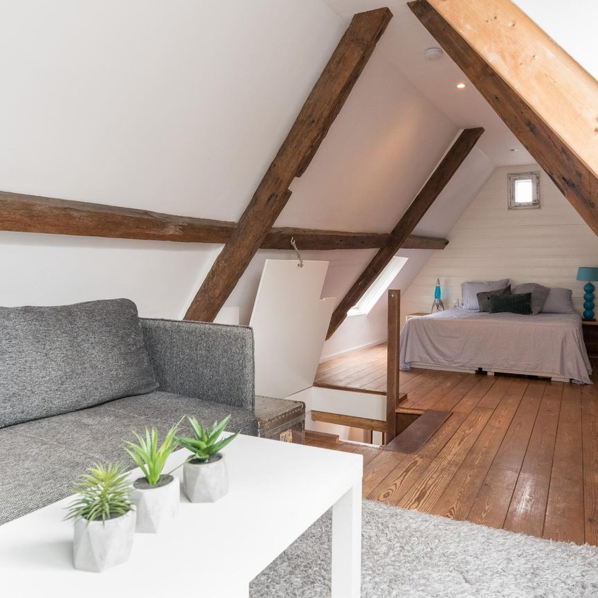 Te huur: Appartement Burgwal 3 ZW in Haarlem - Photo 1