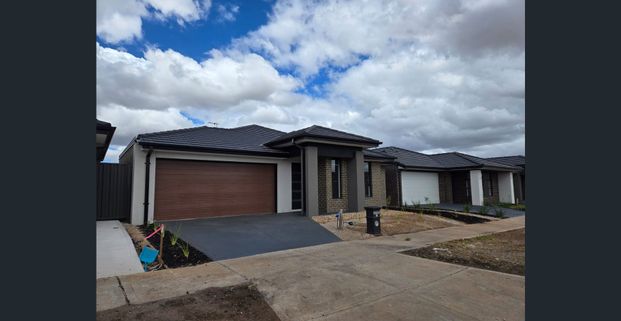 Stylish and Spacious Family Home in Truganina - Photo 1