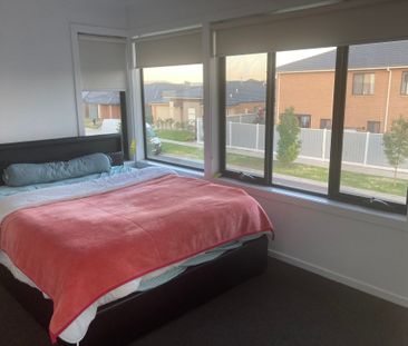 Donnybrook - Photo 2