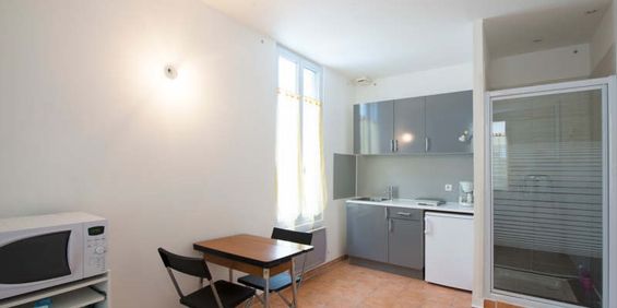 Location Appartement 1 pièce 19m² - Photo 3