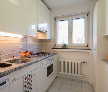 3.5 Zimmer, 72 m², EG - Foto 1