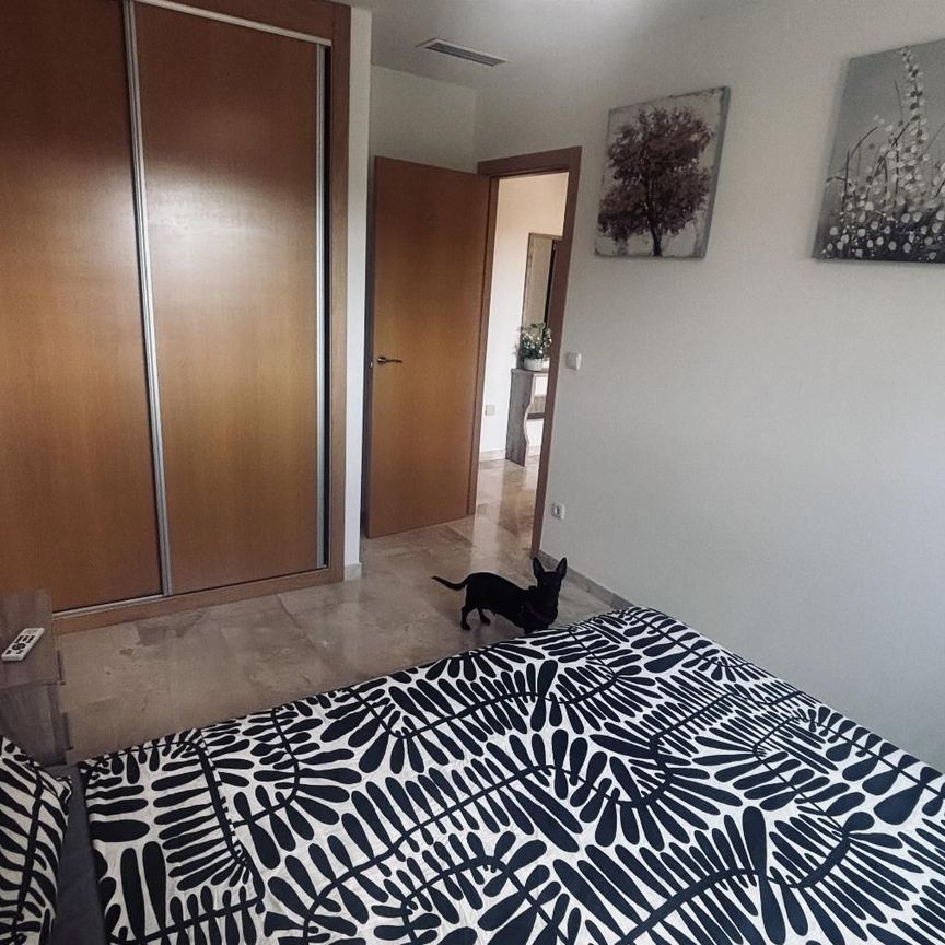 Apartamento de alquiler en Alcacil, 10, Gea y Truyols - Photo 1