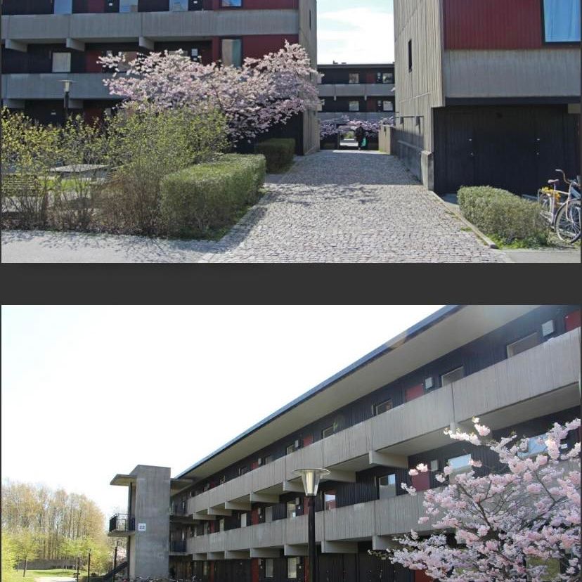 Vildandsvägen, Lund - Foto 1