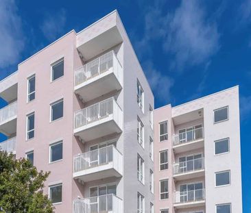 New Apartment in the Heart of Onehunga - Photo 3