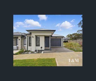 Life Style Setting In Great Location..!! - Photo 2