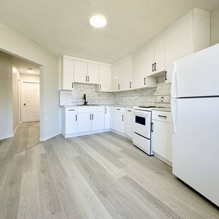 Brand new 3 bed 2 bath spacious apartment, steps to U o C - Photo 4