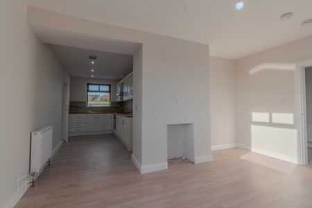 53 Ballymacombs Road, Portglenone, Ballymena, BT44 8NS - Photo 3