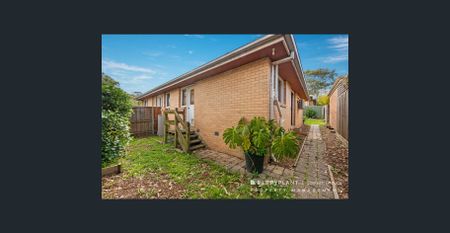 Rare Find! - Photo 4