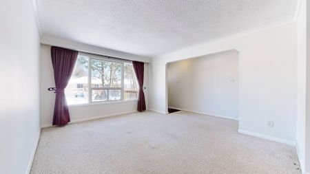 For Lease - 424 Bonita Crescent, Richmond Hill, Ontario - Photo 5