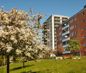 Hjulsta Backar 17, Tensta - Foto 6