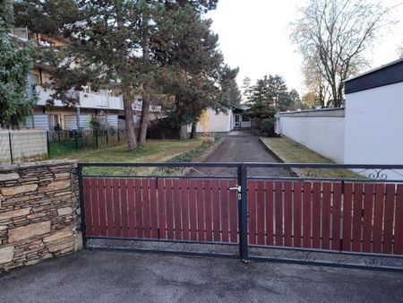 Charmanter Bungalow in Graz-Liebenau zur Miete - Photo 5