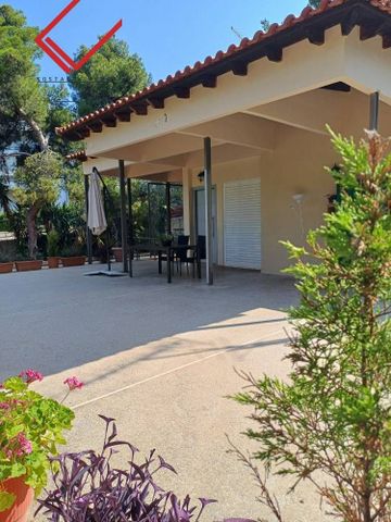 Studio/Γκαρσονιέρα για ενοικίαση Κέντρο (Βουλιαγμένη) - Photo 3