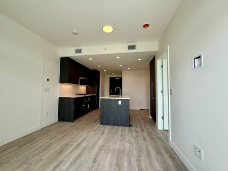 Brand New 1 Bdrm facing South w/ Lakeview at Water St by the Park - Photo 4