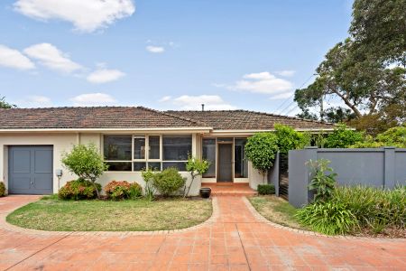 4/366 North Road, Ormond. - Photo 4