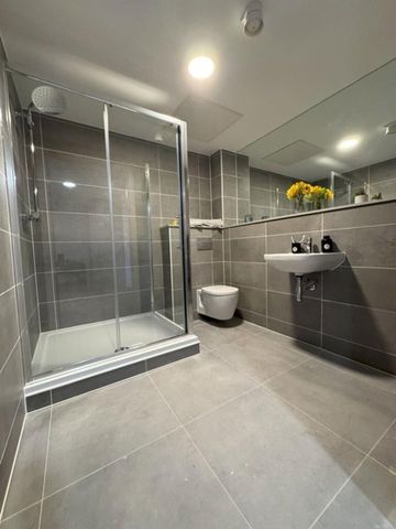 Studio Flat, Oldham Place, L1 - Photo 5