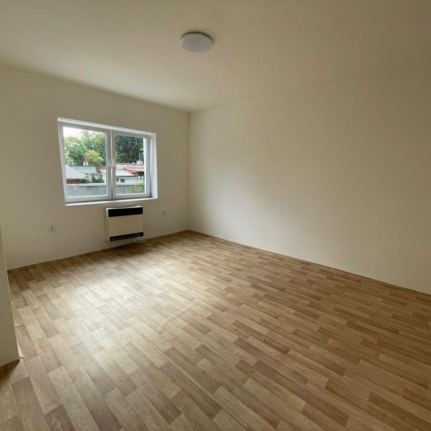Pronájem bytu 1+1 43 m² - Photo 1