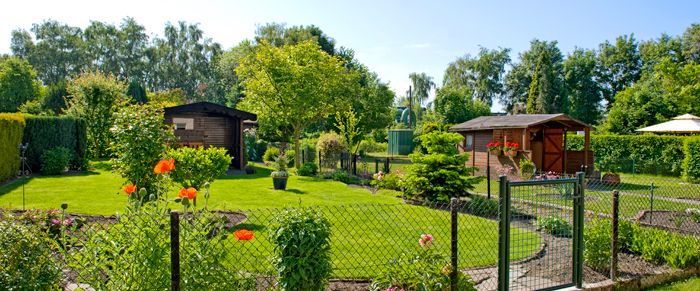 2-Zimmer-Wohnung in Herten Westerholt mit Laminat und Tapeten - Photo 1