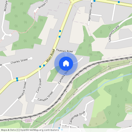 32 Camellia Street, NSW 2285, Cardiff